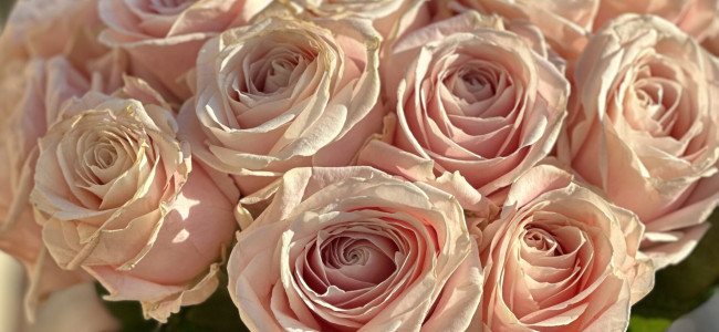 Floral interiors inspiration with Bloom roses Floral interiors inspiration with Bloom roses