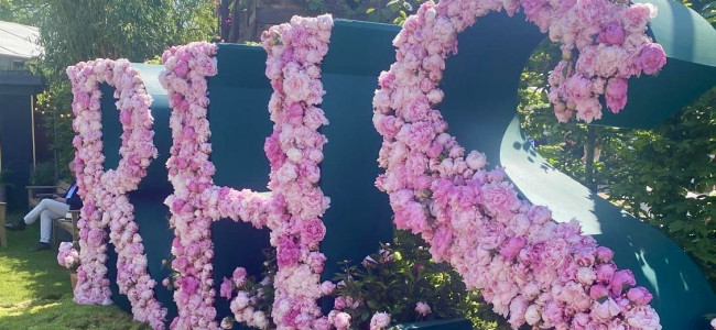 The Season: RHS Chelsea Flower Show 2024 opens in Royal style The Season: RHS Chelsea Flower Show 2024 opens in Royal style