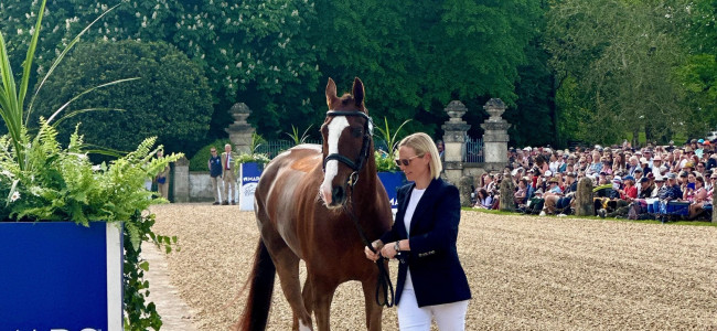 Badminton Horse Trials Trot Up 2024: The Fashion Report Badminton Horse Trials Trot Up 2024: The Fashion Report