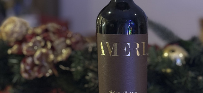 Raise A Glass: Domaine Bousquet’s Ameri Organic Red Blend, Single Vineyard, Gualtallary, Argentina 2021 Raise A Glass: Domaine Bousquet’s Ameri Organic Red Blend, Single Vineyard, Gualtallary, Argentina 2021