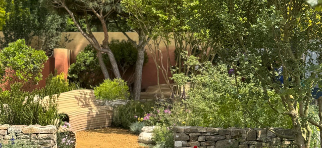 A variety of show gardens impress at the RHS Chelsea Flower Show A variety of show gardens impress at the RHS Chelsea Flower Show