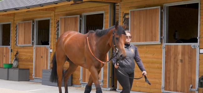 The Season: West Acre heads to Royal Ascot with Breeders’ Cup ambitions The Season: West Acre heads to Royal Ascot with Breeders’ Cup ambitions
