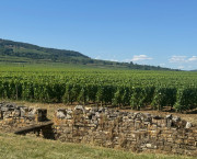 The best places to stop when driving to the South of France The best places to stop when driving to the South of France