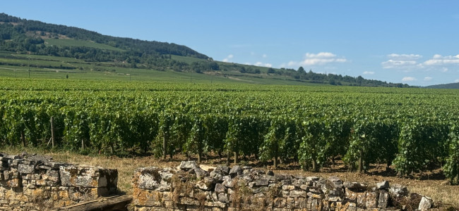 The best places to stop when driving to the South of France The best places to stop when driving to the South of France
