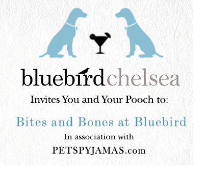 Celebrate all things canine at Bluebird Chelsea next week Celebrate all things canine at Bluebird Chelsea next week