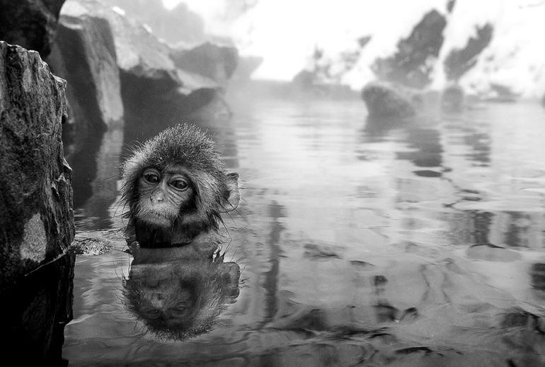 We featured the David Yarrow Private Viewing on Sloaney TV, donations from books sold be made to TUSK