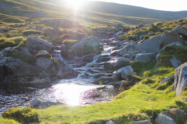 Wicklow is know as the Garden of Ireland