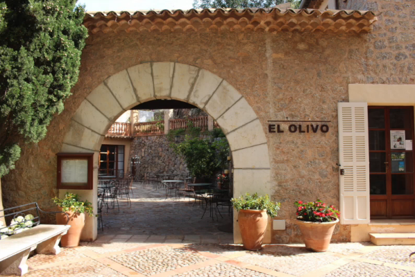 El Olivo