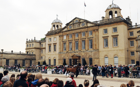 Badminton trot up in front of the house