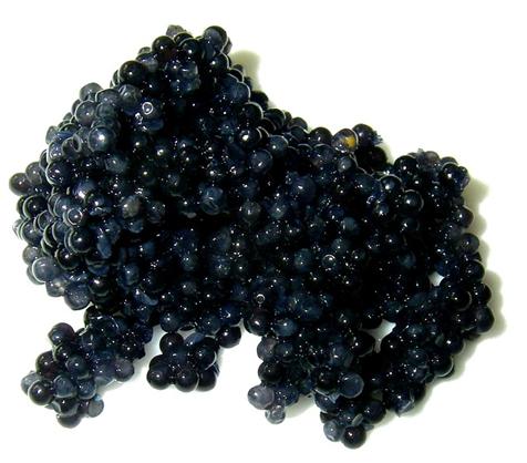 Caviar