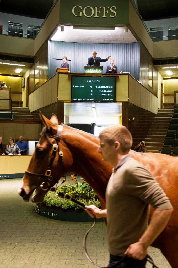 Goffs Orby Sale