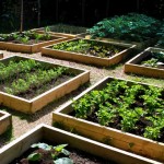 Gardening