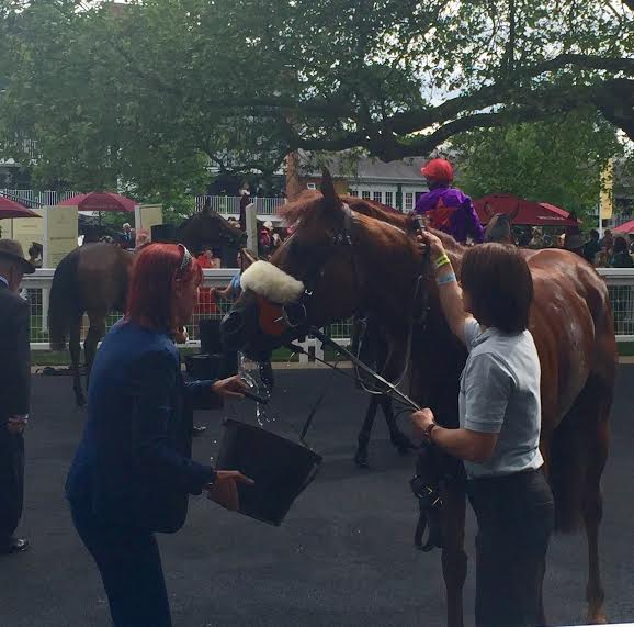 Royal Ascot