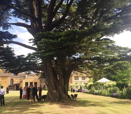 Many chose to picnic in the gardens