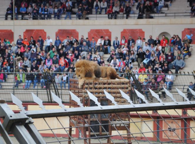 Puy du Fou