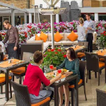 The beautiful terrace