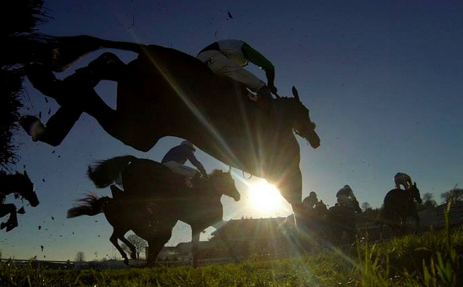 Tingle Creek Festival