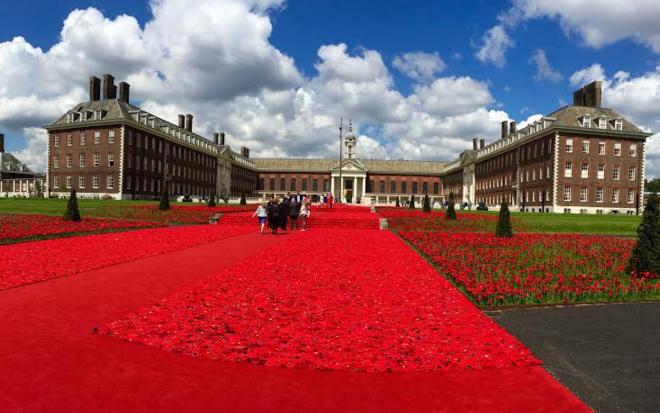 Chelsea Flower Show 2016