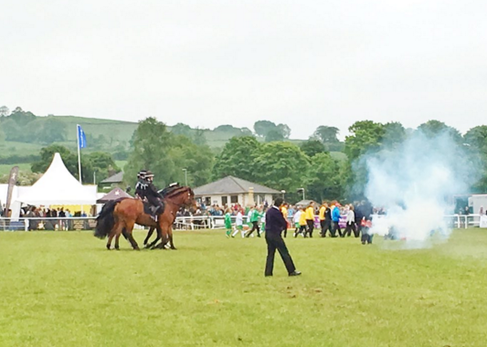 Bath and West Show