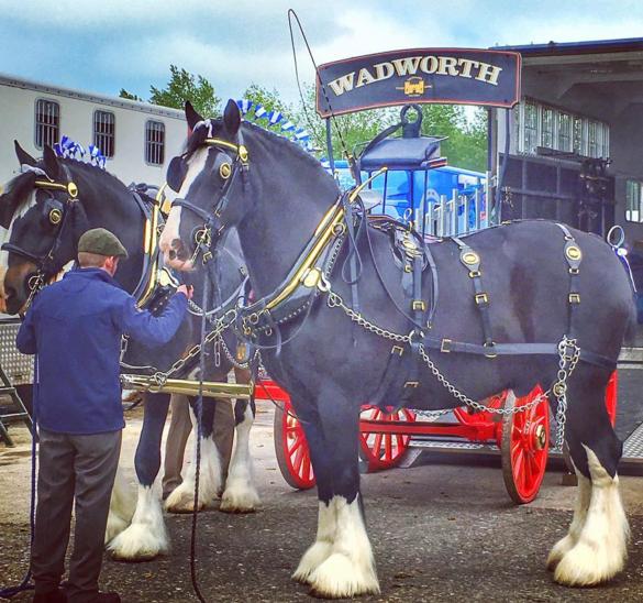 Bath and West Show