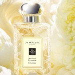 Jo Malone Perfume