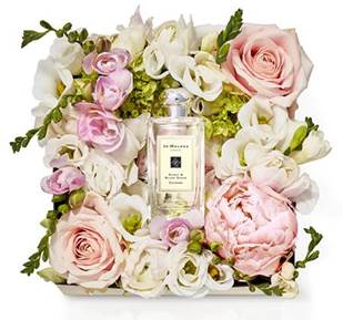 JoMalone MD