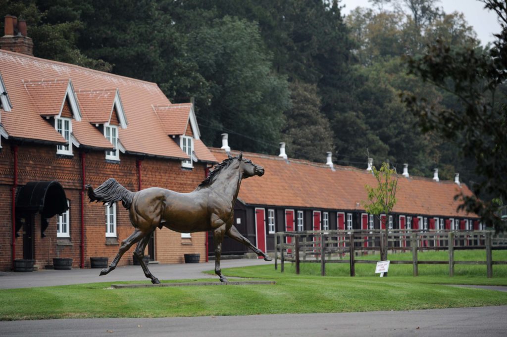 Discover Newmarket Get exclusive access to Cheveley Park Stud The Sloaney