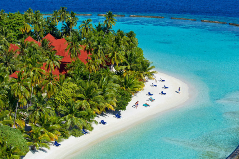 Kurumba Maldives is home to many palm trees