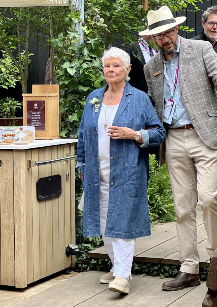 Dame Judi Dench at the RHS Chelsea Flower Show 2022