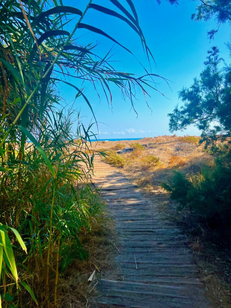 The path that leads to the beach at Oliva Nova Beach and Golf Resort