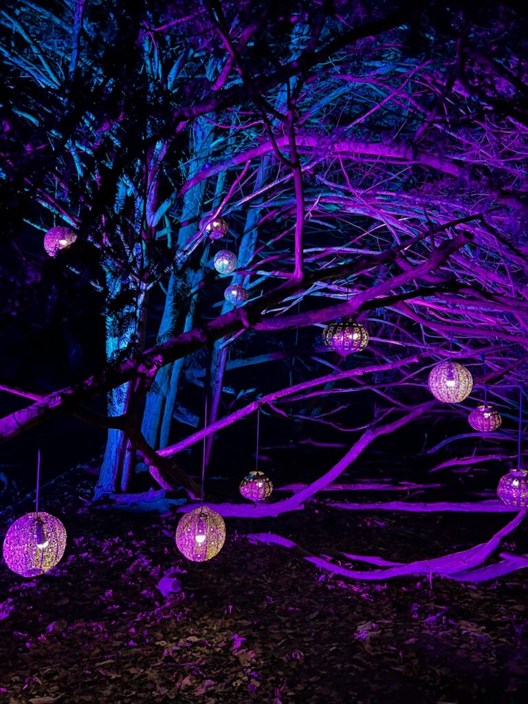 Christmas lights at Stourhead