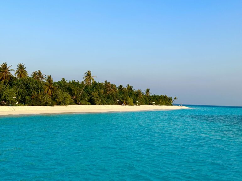 Pictured: Long stretches of white sandy beach await at the standard maldives