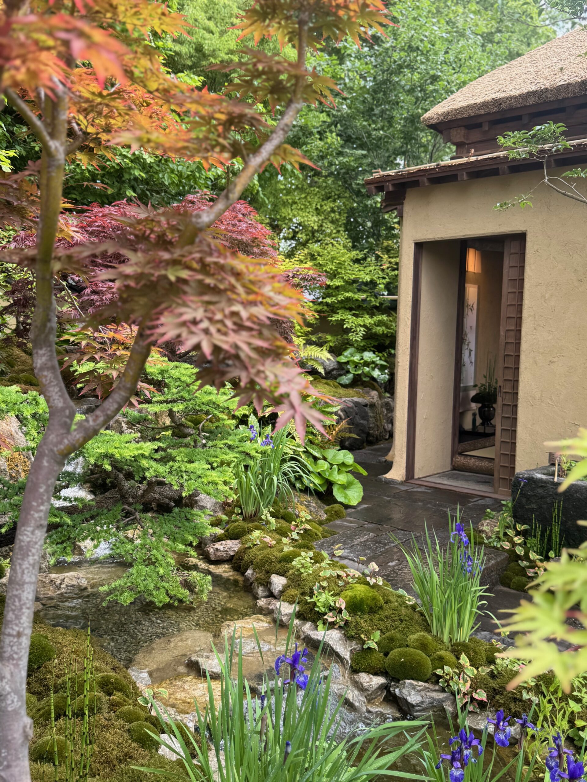 show gardens chelsea flower show