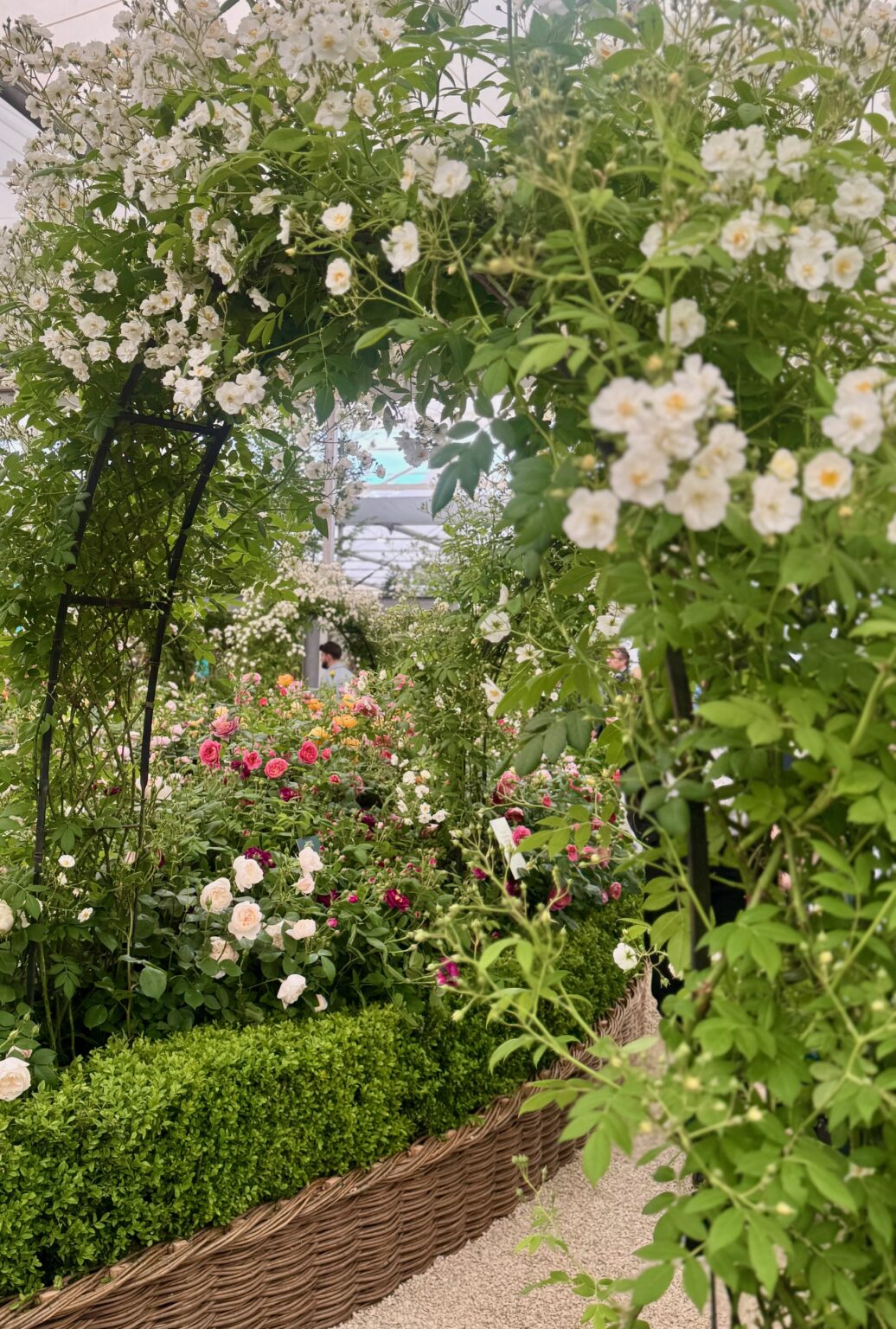 Our Guide to the RHS Chelsea Flower Show 2026 - The Sloaney