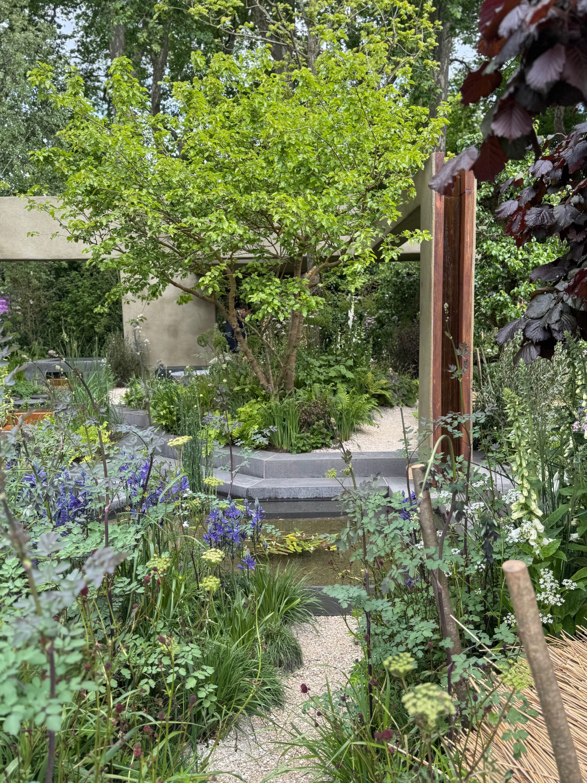 RHS Chelsea Flower Show 2026