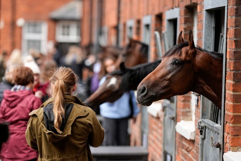 Henry Cecil Open Weekend